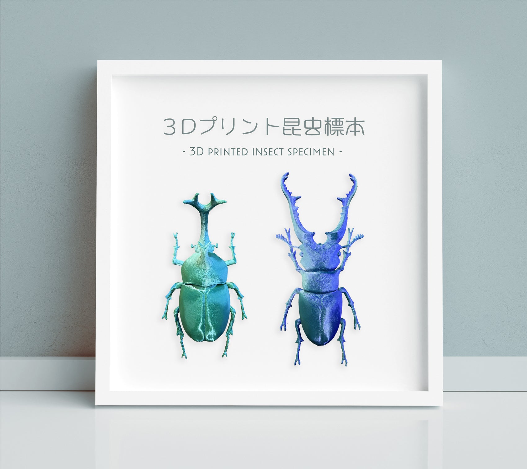 第3回3Dデータコンテスト【昆虫採集しよう!】を開催いたします