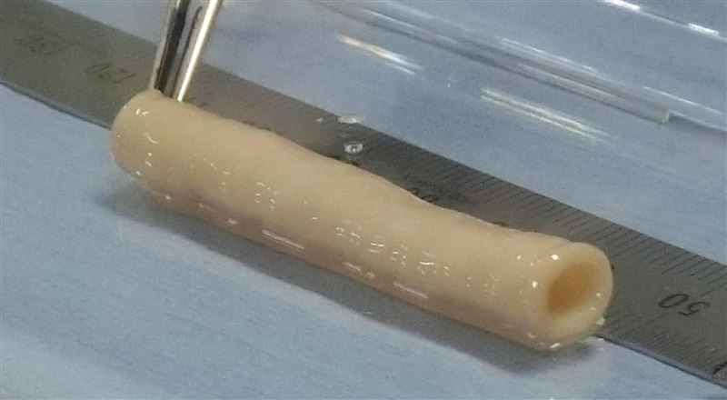 京大の研究チームがバイオ3Dプリントしたあるもので世界初となる偉業を達成|飛躍する医療3Dプリント最前線