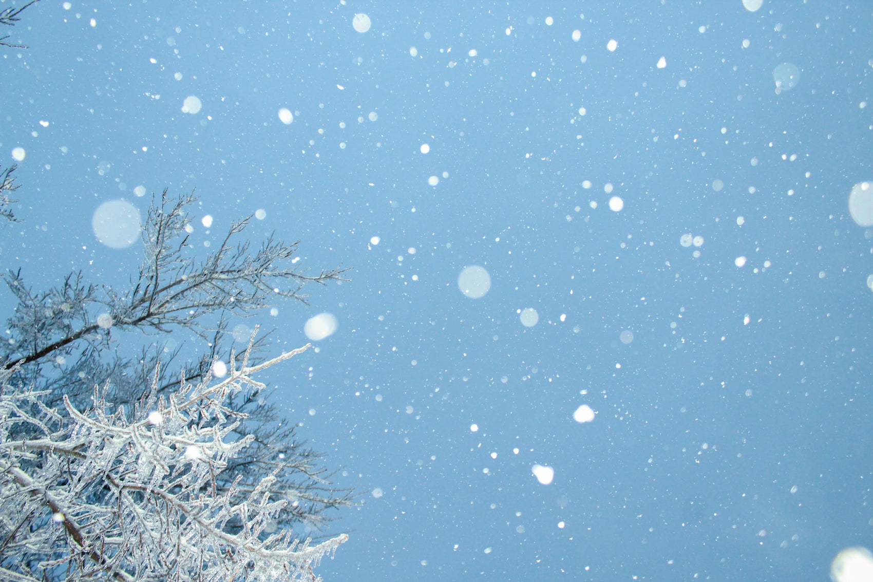 積雪に伴う配送遅延のお知らせ