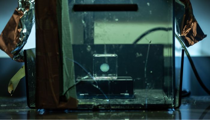 「脳を再現する」ための3Dプリント？リアルすぎる人工脳モデルの正体