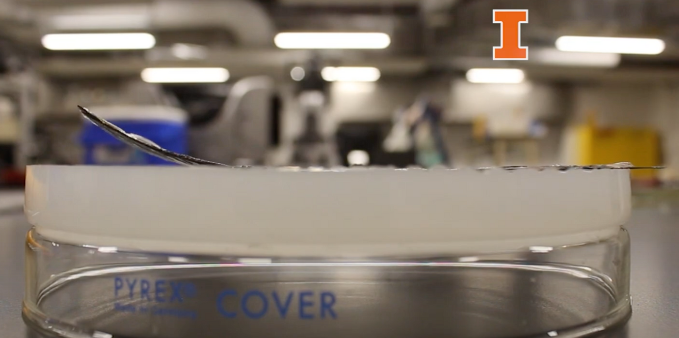 平面が立体に“変身”！少ないエネルギーで形が変わる新しい3Dプリント技術