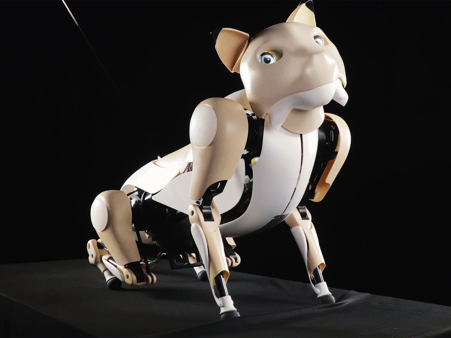 3Dプリントされたボディを持つ猫型未来ロボット「ディアナ」｜人間は機械を愛玩できるか？