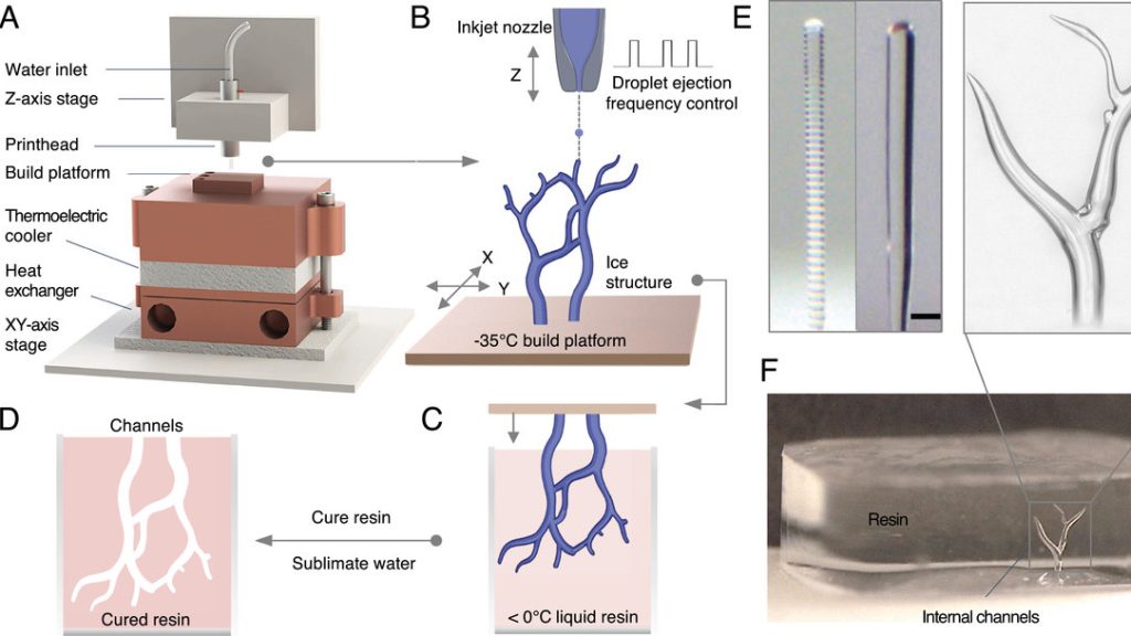 複雑な形状の氷を3Dプリントして鋳型をつくる「アイスキャスティング」法とは？ 溶解でも焼結でもない「氷結」という新たな発想