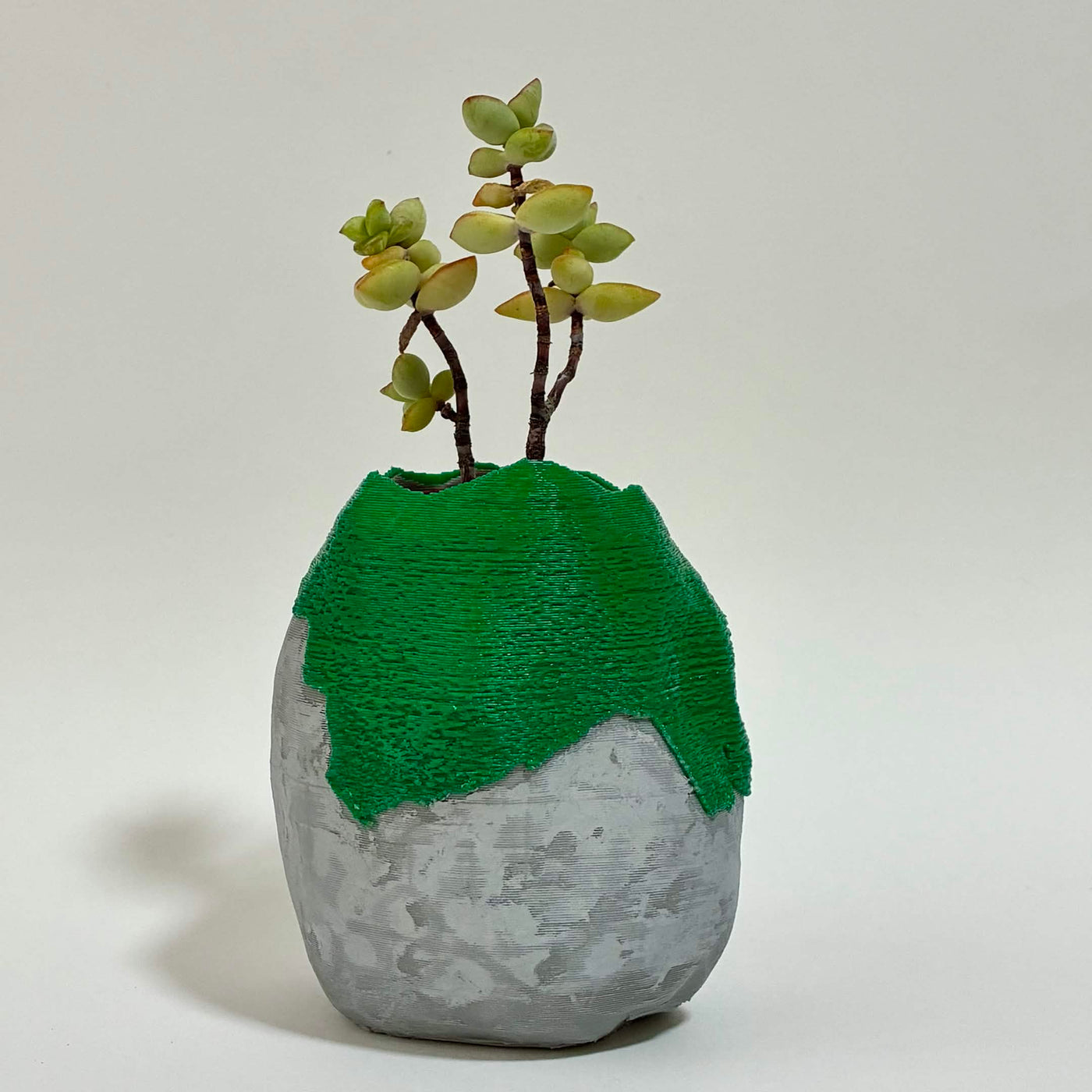苔玉鉢