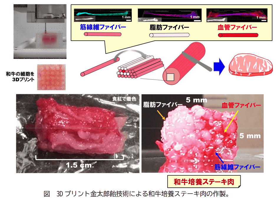 牛肉は「育てるもの」から「モデリングするもの」に！？ 「サシ」まで調整可能な日本発の先端3Dプリントミート