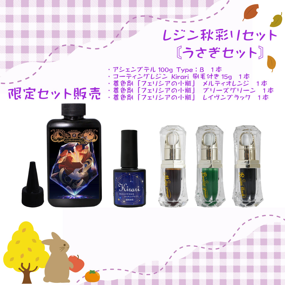 【期間限定販売】SK本舗 -レジン秋彩りセット-