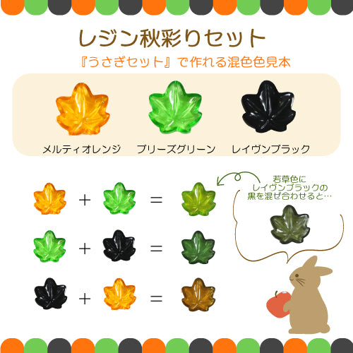 【期間限定販売】SK本舗 -レジン秋彩りセット-