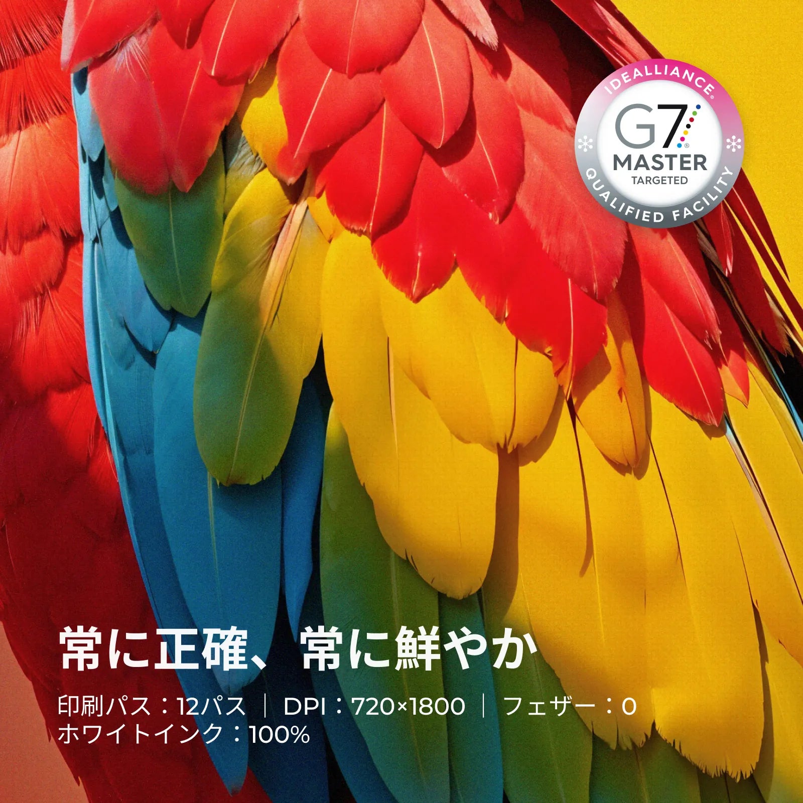 xTool Apparel Printer G7認証カラー精度（12パス・720×1800 DPI・ホワイトインク100%）