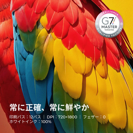 xTool Apparel Printer G7認証カラー精度（12パス・720×1800 DPI・ホワイトインク100%）