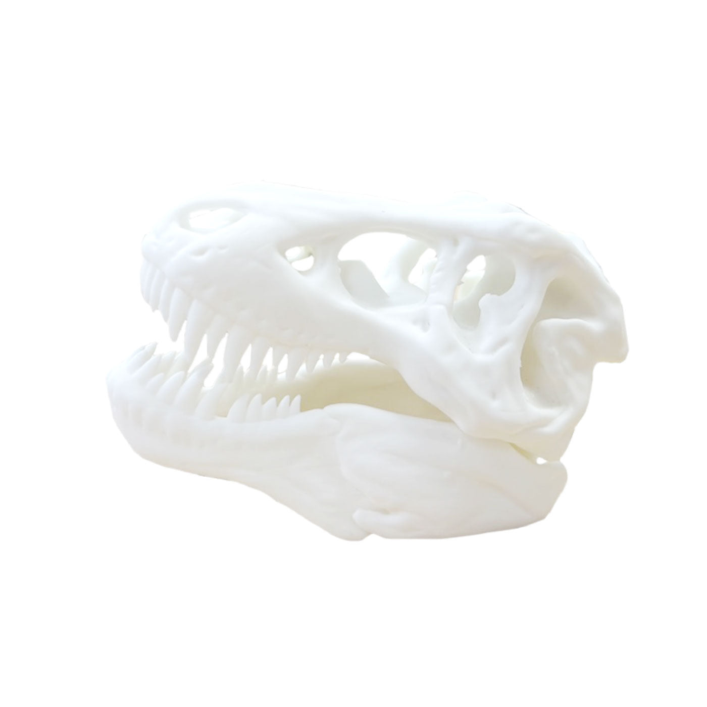 SKセラミックライクレジン 500g – 3Dプリンターとレジン&フィラメント