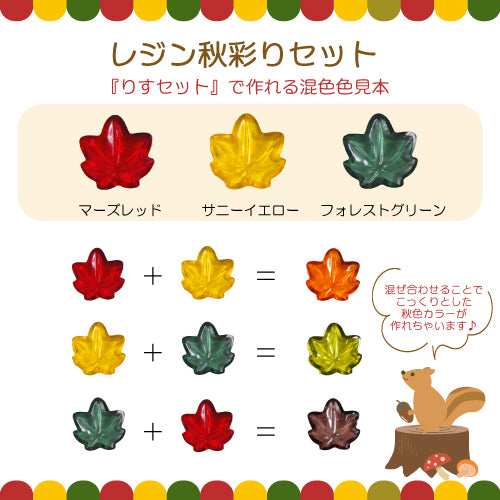 【期間限定販売】SK本舗 -レジン秋彩りセット-