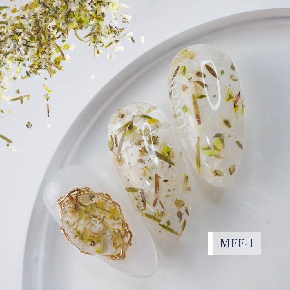 S♡Mint 【Natural Dry Flower】Mix Flower Flat -series6- – 3D