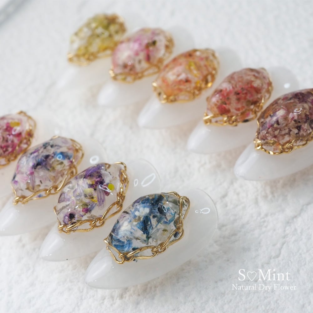 S♡Mint 【Natural Dry Flower】Mix Flower Flat -series6- – 3D